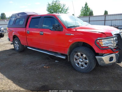FORD F-150 2013