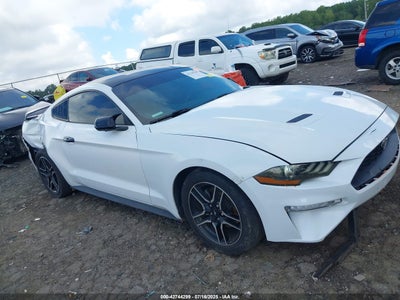 FORD MUSTANG 2019