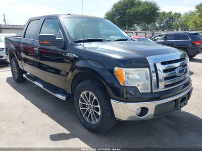 FORD F-150 2009