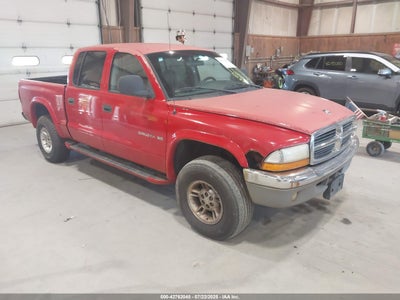 DODGE DAKOTA 2000