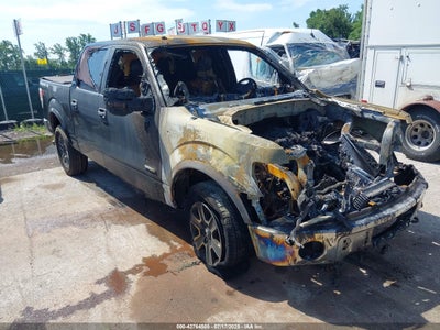 FORD F-150 2013