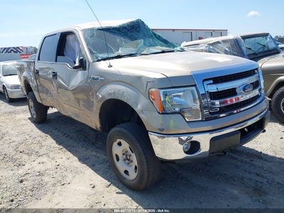 FORD F-150 2013