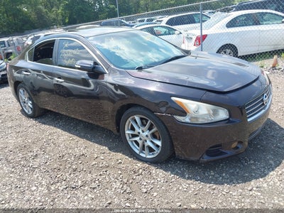 NISSAN MAXIMA 2010
