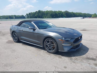 FORD MUSTANG 2019