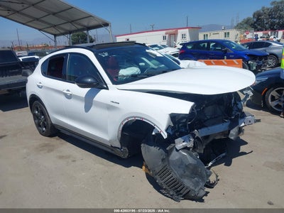 ALFA ROMEO STELVIO 2024