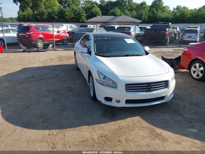 NISSAN MAXIMA 2010