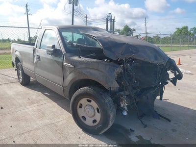 FORD F-150 2009
