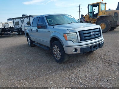FORD F-150 2009