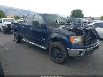 FORD F-150 2014