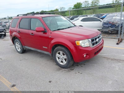 FORD ESCAPE HYBRID 2008