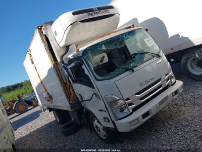 ISUZU NRR 2024