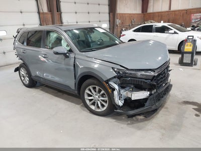 HONDA CR-V 2024