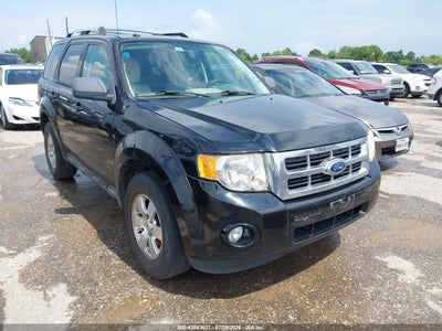FORD ESCAPE HYBRID 2010