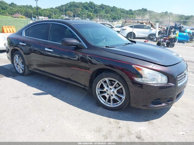 NISSAN MAXIMA 2010