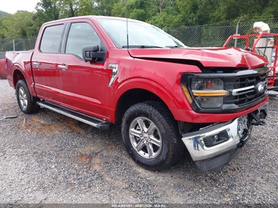 FORD F-150 2024
