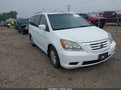 HONDA ODYSSEY 2010