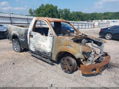 FORD F-150 2013