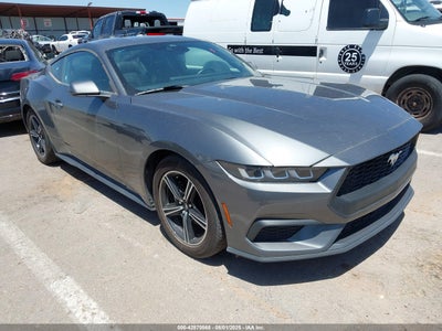FORD MUSTANG 2024