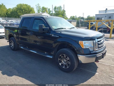 FORD F-150 2010