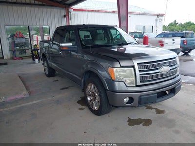 FORD F-150 2009