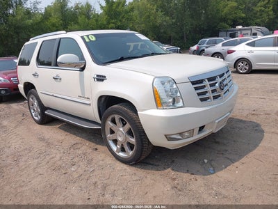 CADILLAC ESCALADE 2010