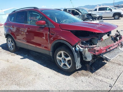 FORD ESCAPE 2014