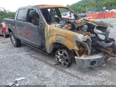 FORD F-150 2010