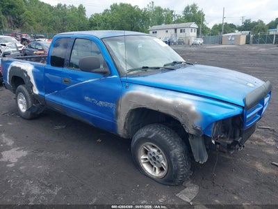 DODGE DAKOTA 2000