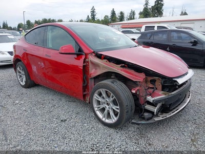 TESLA MODEL Y 2021