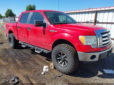 FORD F-150 2010