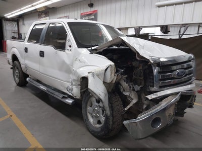 FORD F-150 2010
