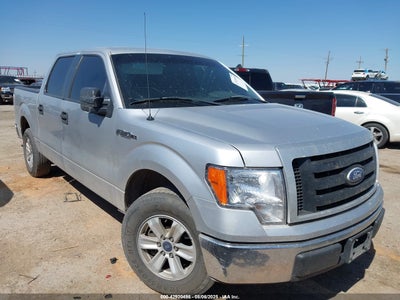 FORD F-150 2010