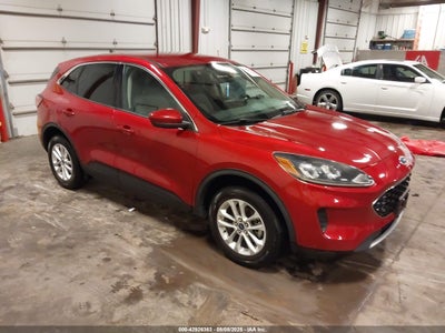 FORD ESCAPE 2020