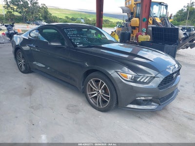 FORD MUSTANG 2016