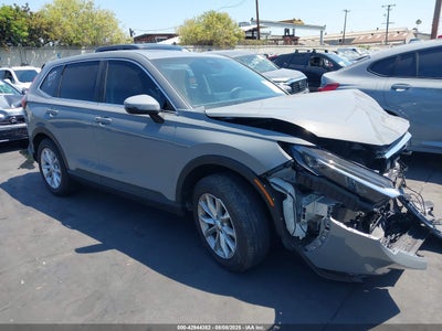 HONDA CR-V 2024