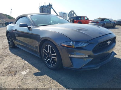 FORD MUSTANG 2019