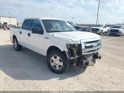FORD F-150 2013