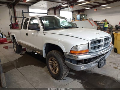 DODGE DAKOTA 2004