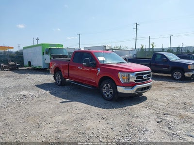 FORD F-150 2021