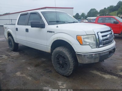FORD F-150 2010