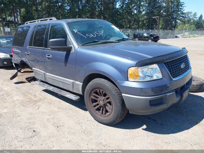 FORD EXPEDITION 2006