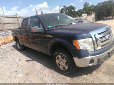 FORD F-150 2010