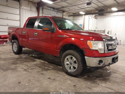 FORD F-150 2013