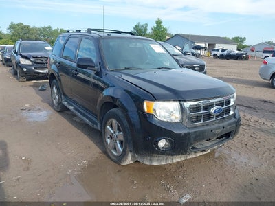 FORD ESCAPE 2010