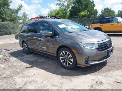 HONDA ODYSSEY 2021