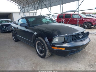 FORD MUSTANG 2005