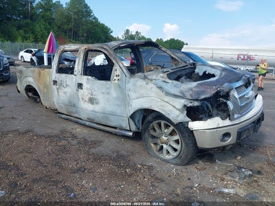 FORD F-150 2009