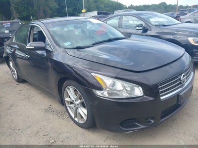 NISSAN MAXIMA 2010