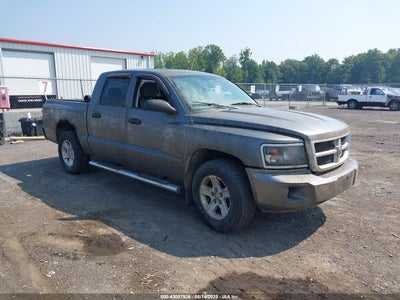 RAM DAKOTA 2011