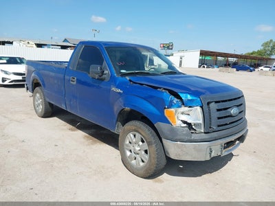 FORD F-150 2009